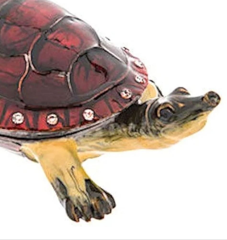 Turtle Trinket Holder